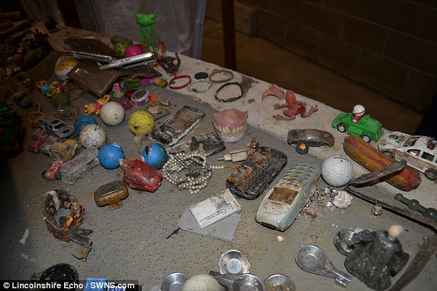 Неожиданные вещи, которые смывают в унитаз Неожиданные вещи, которые смывают в унитаз