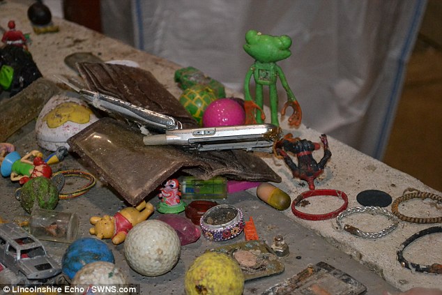 Неожиданные вещи, которые смывают в унитаз Неожиданные вещи, которые смывают в унитаз