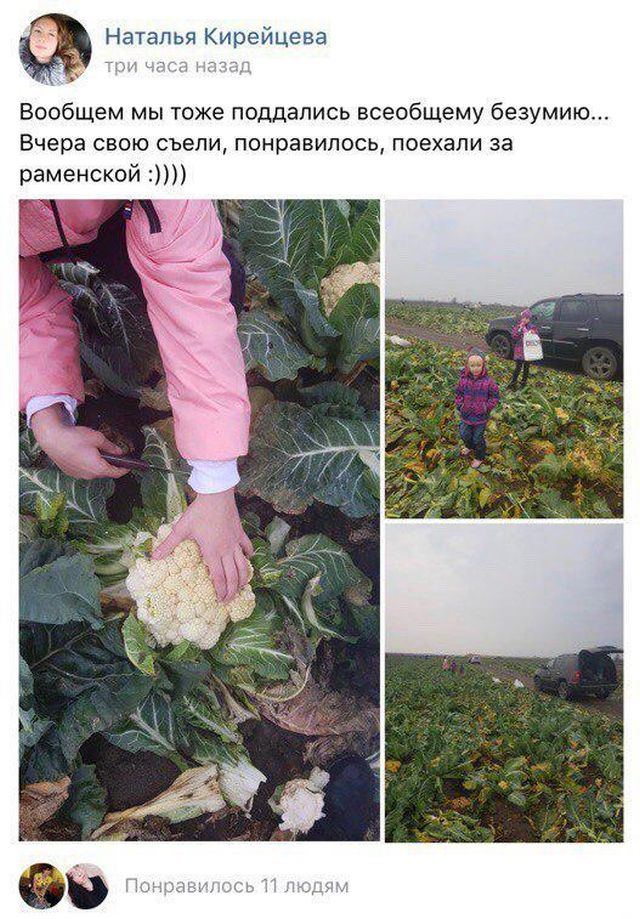 Непреодолимая жажда "халявы"