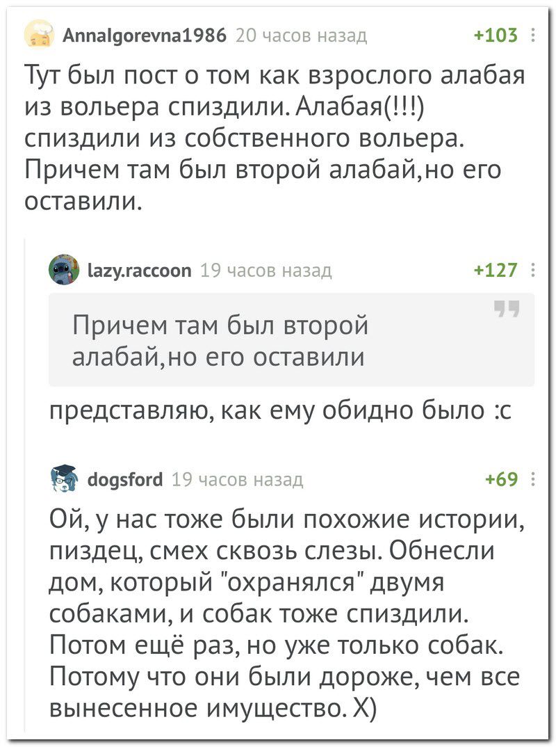 Забавные комментарии из социальных сетей