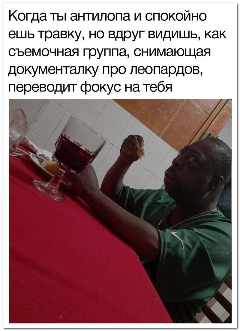 Забавные комментарии из социальных сетей