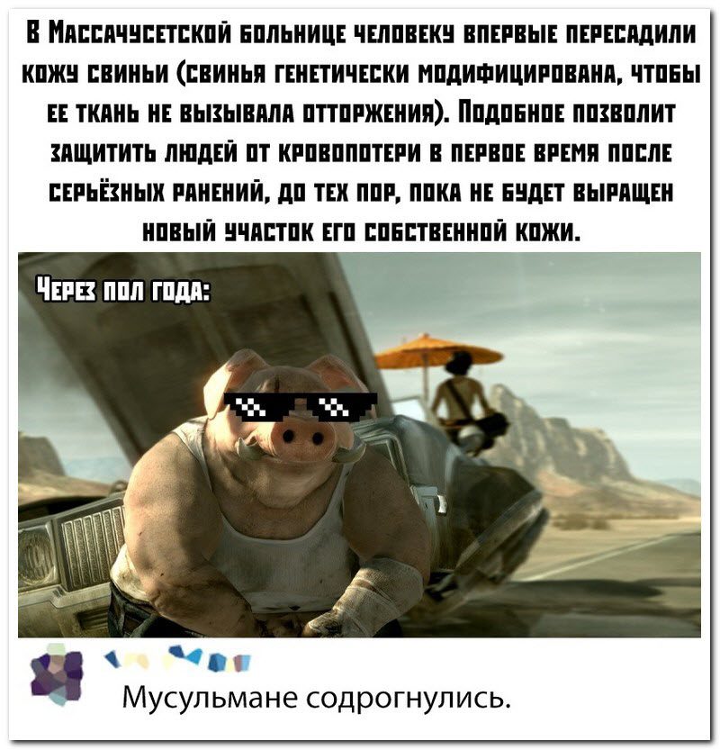 Забавные комментарии из социальных сетей