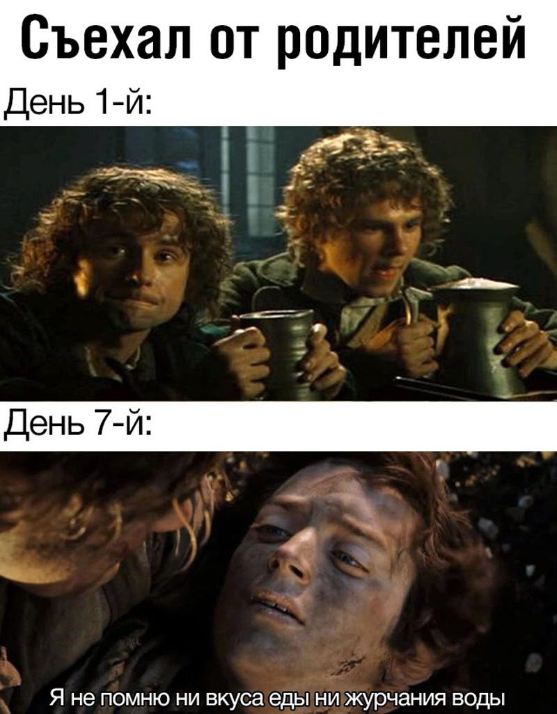 Прикольные картинки