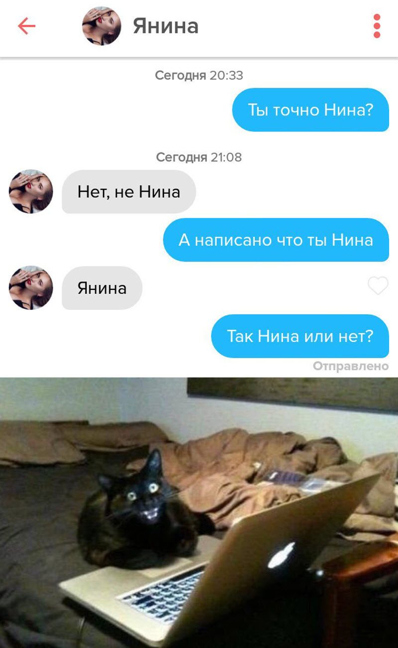 Прикольные картинки
