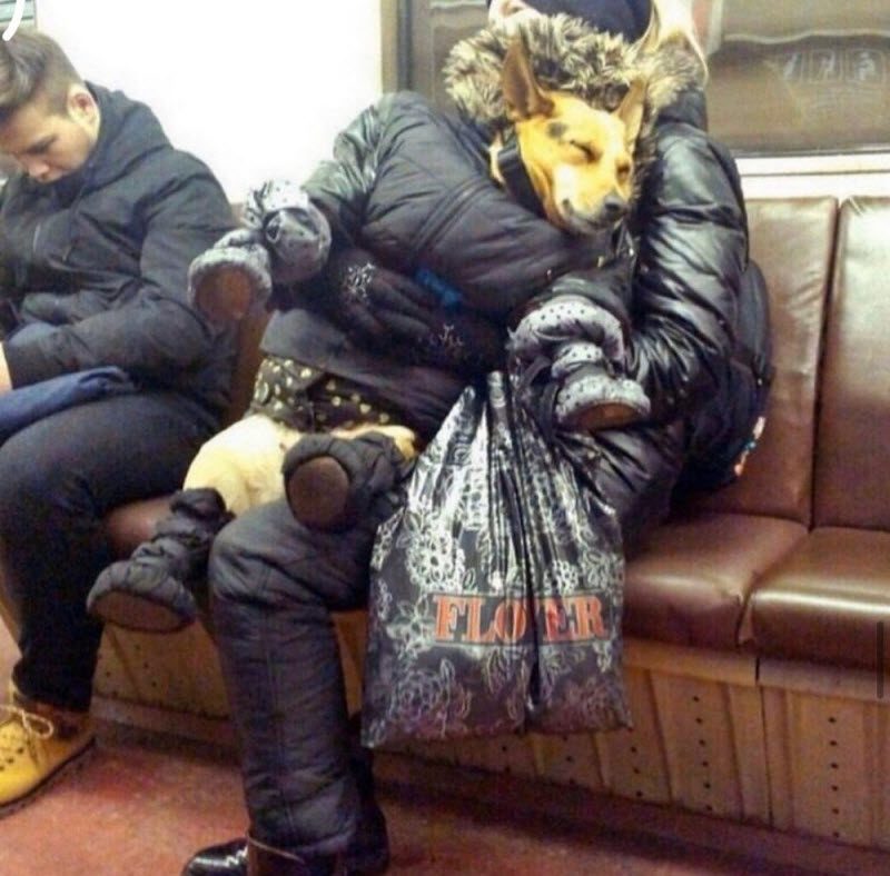 Модники из российского метрополитена
