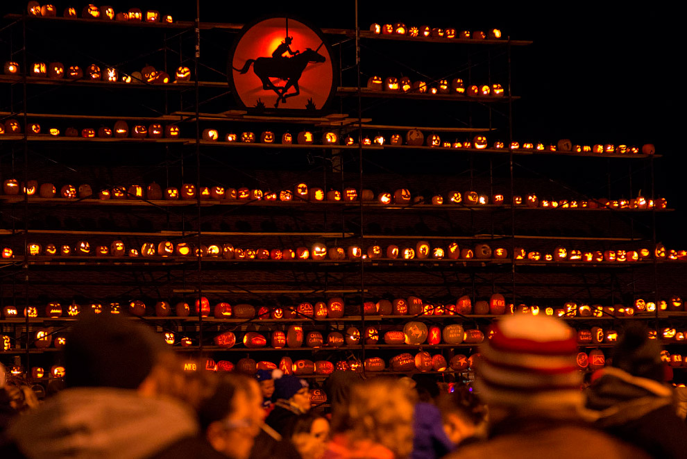 Последние дни золотой осени в фотографиях Последние дни золотой осени в фотографиях