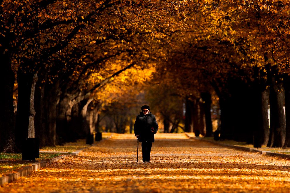 Последние дни золотой осени в фотографиях Последние дни золотой осени в фотографиях