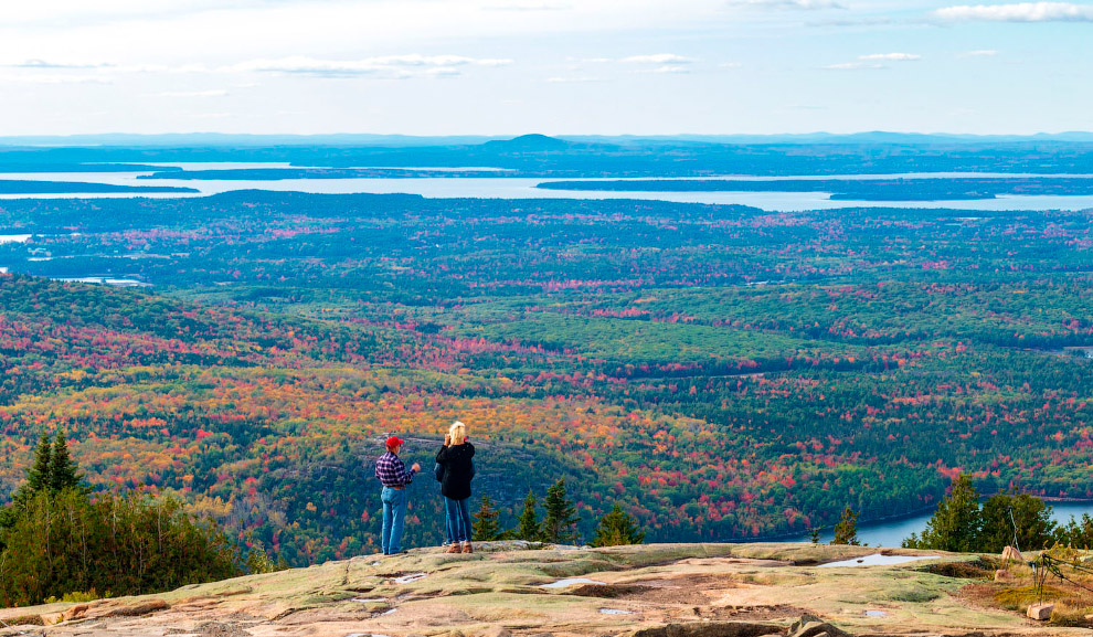 Последние дни золотой осени в фотографиях Последние дни золотой осени в фотографиях