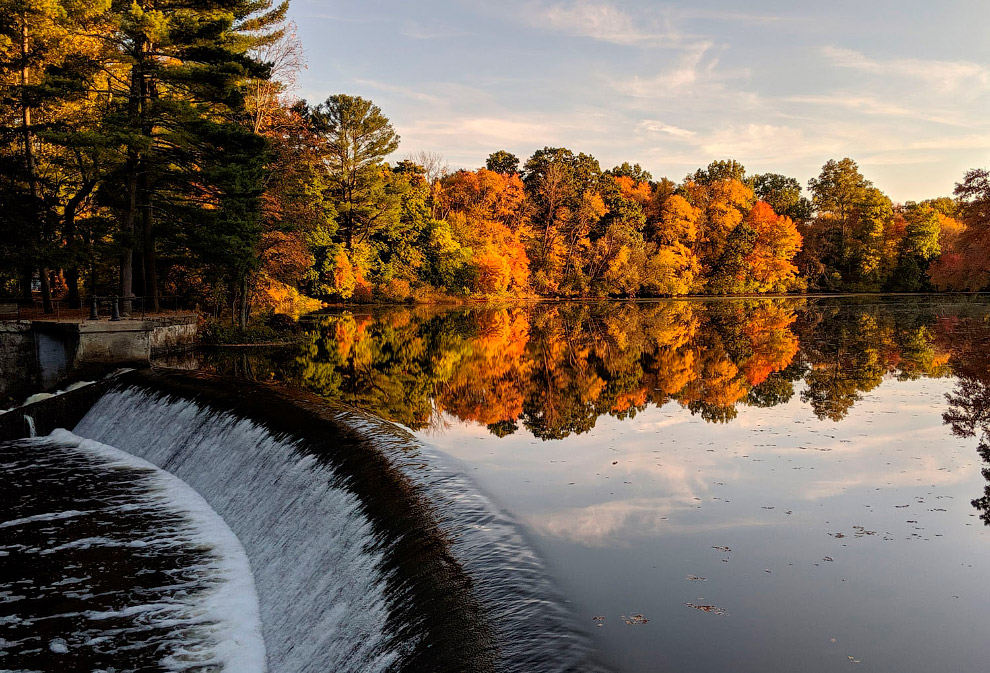 Последние дни золотой осени в фотографиях Последние дни золотой осени в фотографиях