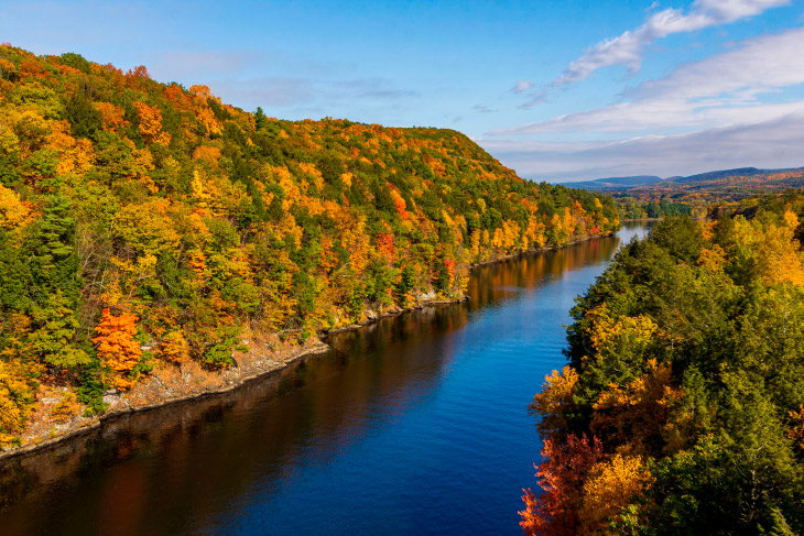 Последние дни золотой осени в фотографиях Последние дни золотой осени в фотографиях