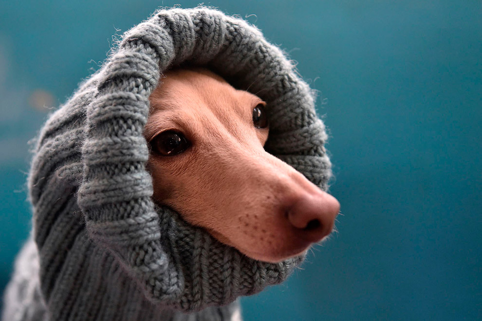 Последние дни золотой осени в фотографиях Последние дни золотой осени в фотографиях