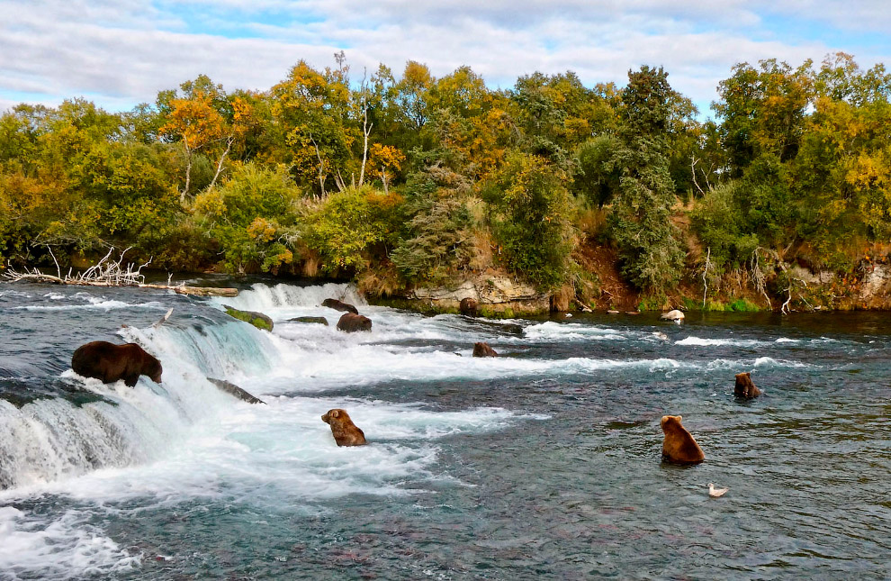 Последние дни золотой осени в фотографиях Последние дни золотой осени в фотографиях