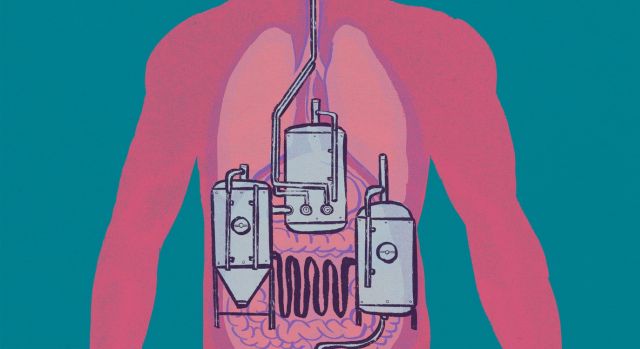 Американец 8 лет вырабатывал пиво в собственном желудке