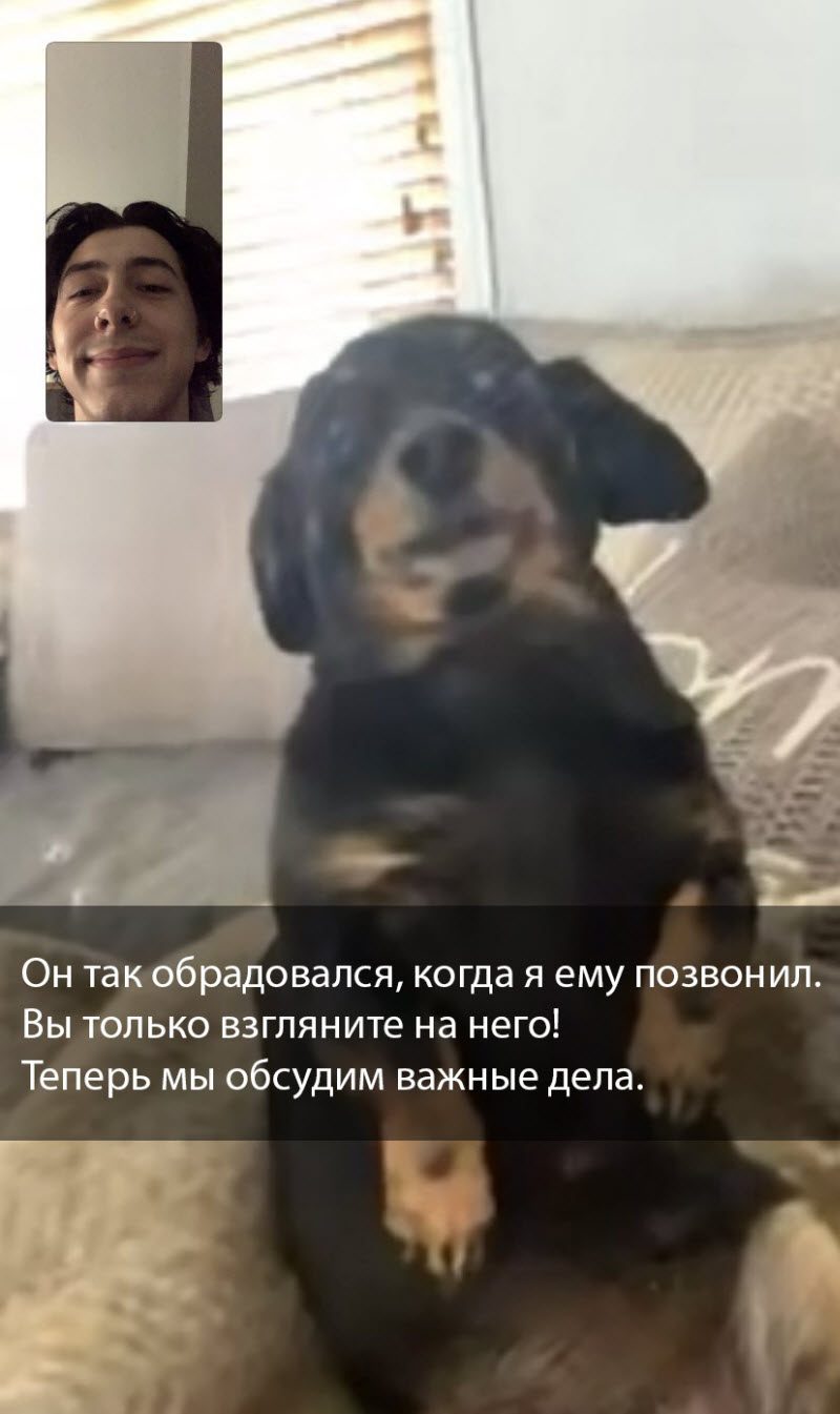 Прикольные картинки