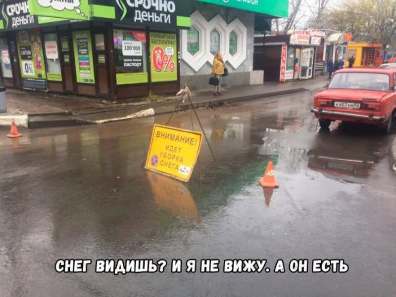 Прикольные картинки