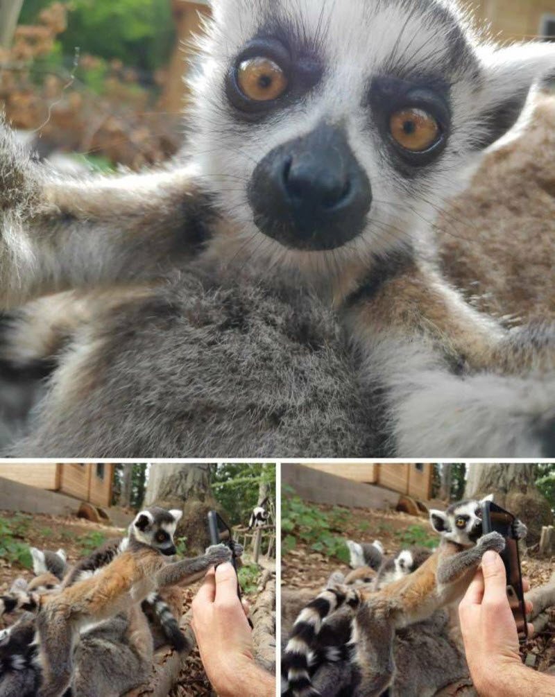 Прикольные картинки