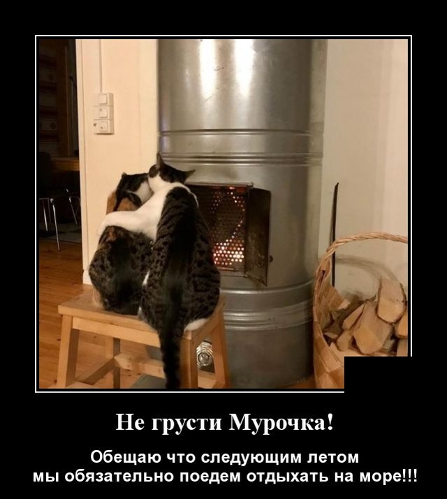 Демотиваторы