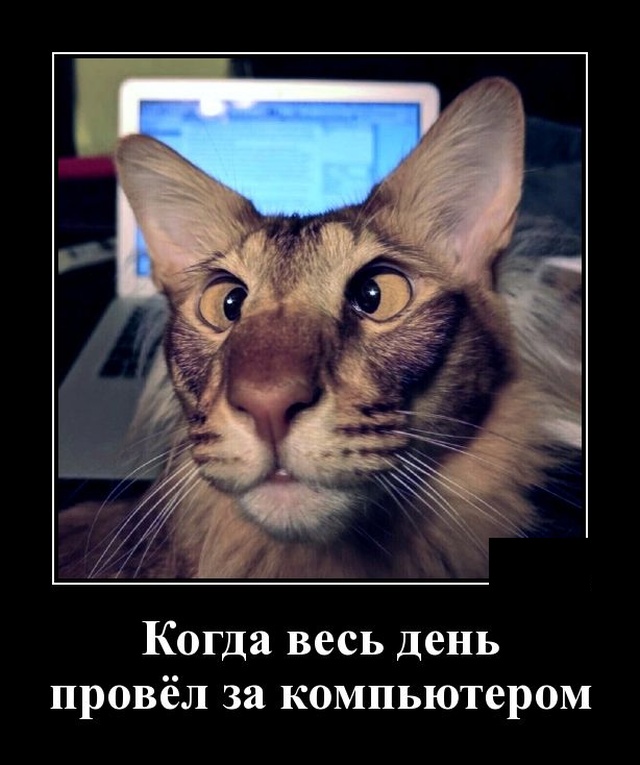 Демотиваторы