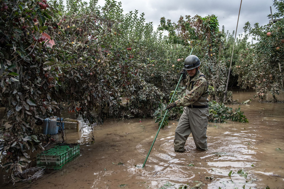 Последствия обрушившегося на Японию тайфуна «Хагибис» Последствия обрушившегося на Японию тайфуна «Хагибис»
