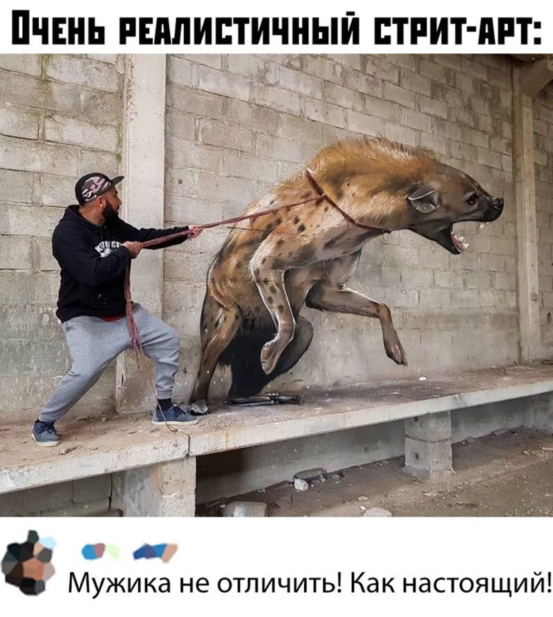 Прикольные картинки