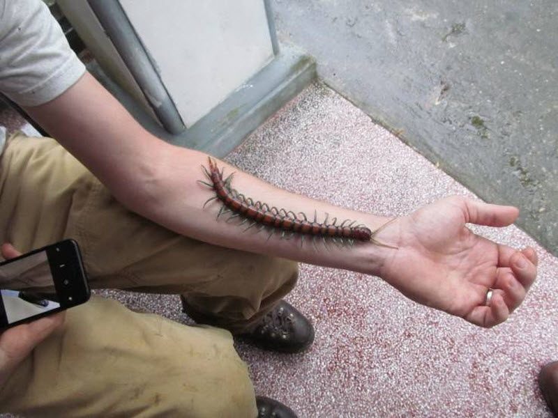 Прикольные картинки