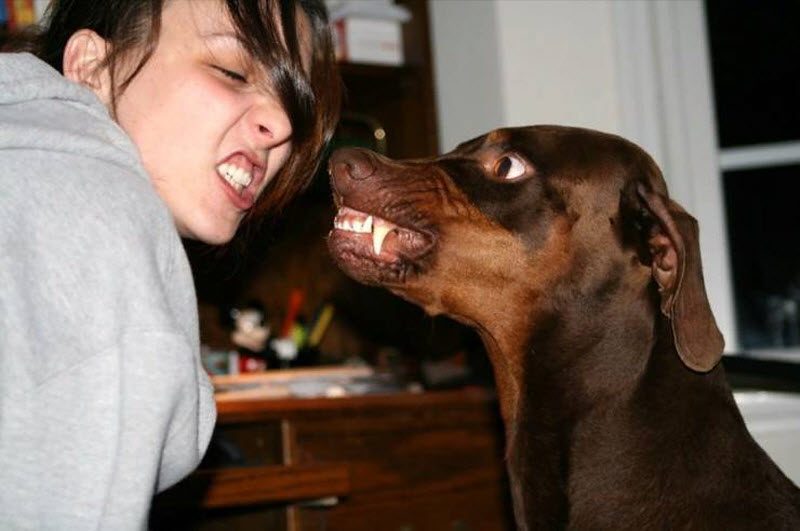 Прикольные картинки