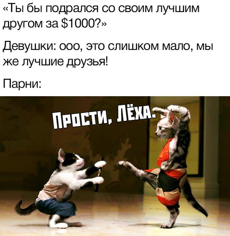 Прикольные картинки