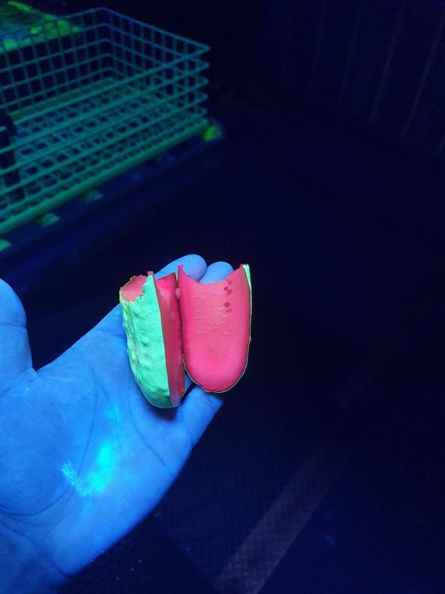 Занятный эксперимент: ультрафиолетовые огурцы