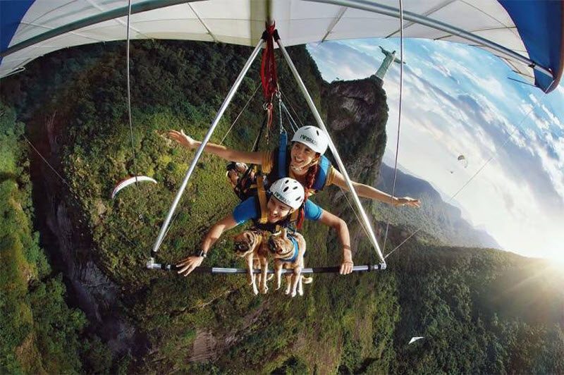 Прикольные картинки