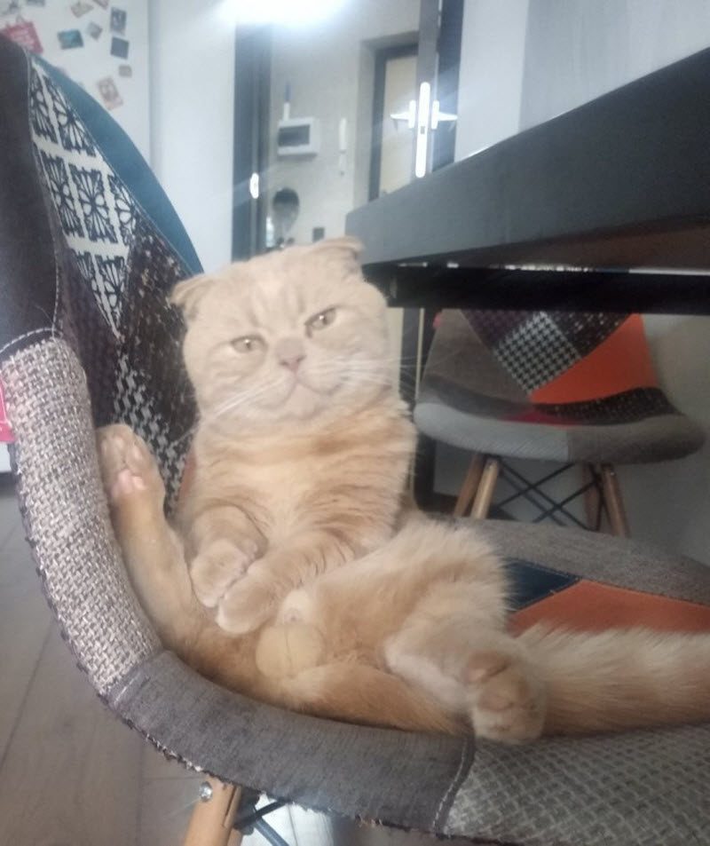 Прикольные картинки