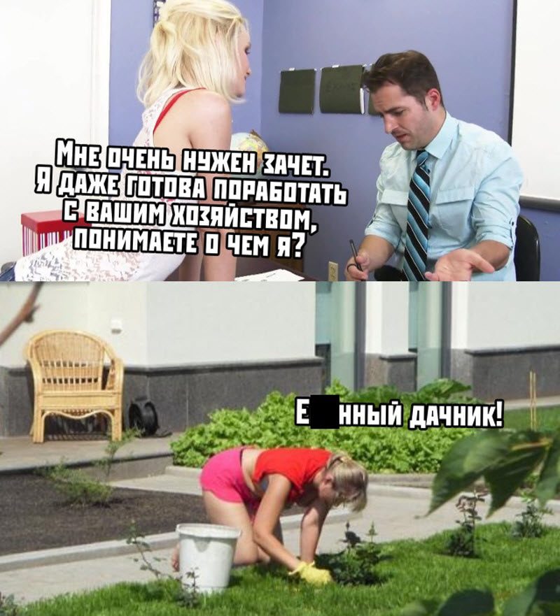 Прикольные картинки