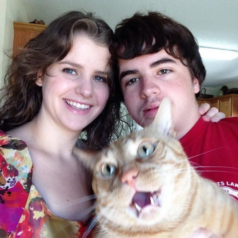 Прикольные картинки