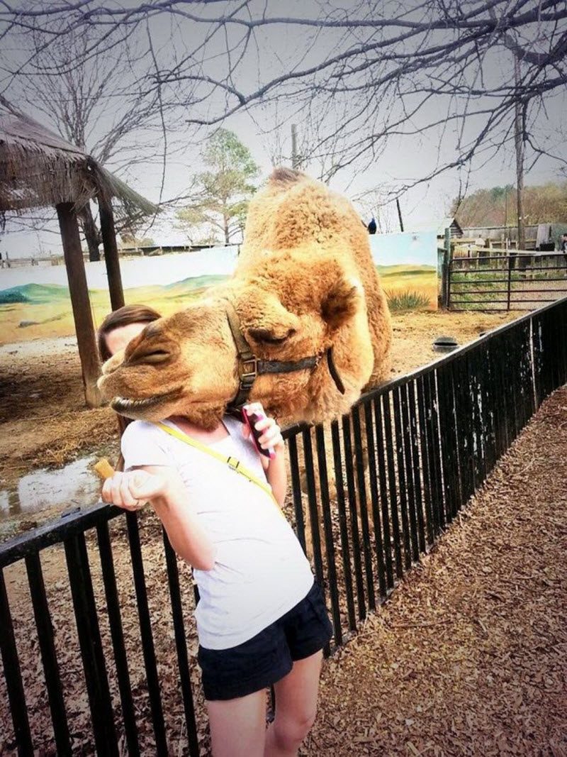 Прикольные картинки