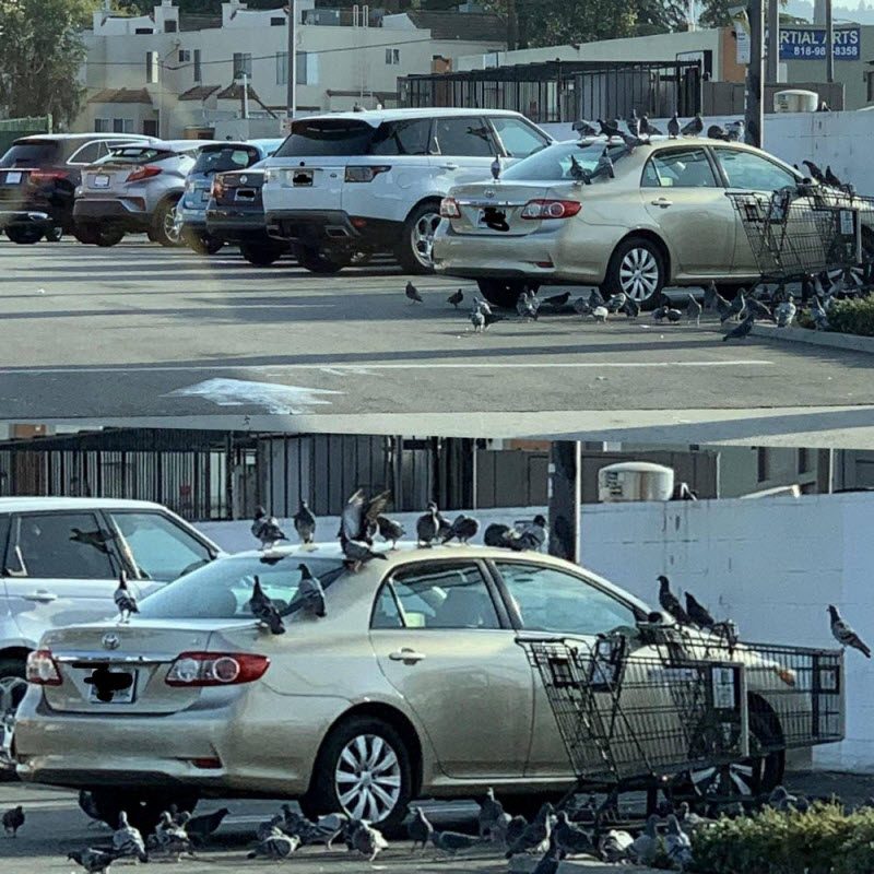 Бывают в жизни огорчения