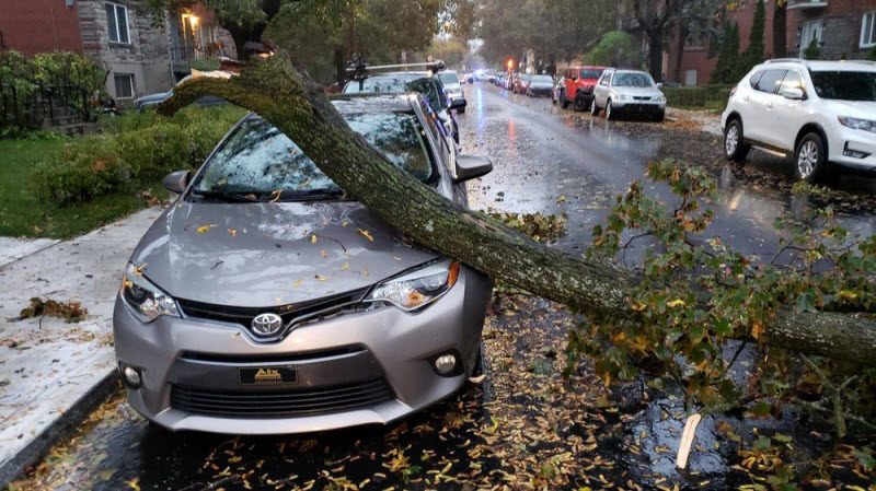 Бывают в жизни огорчения