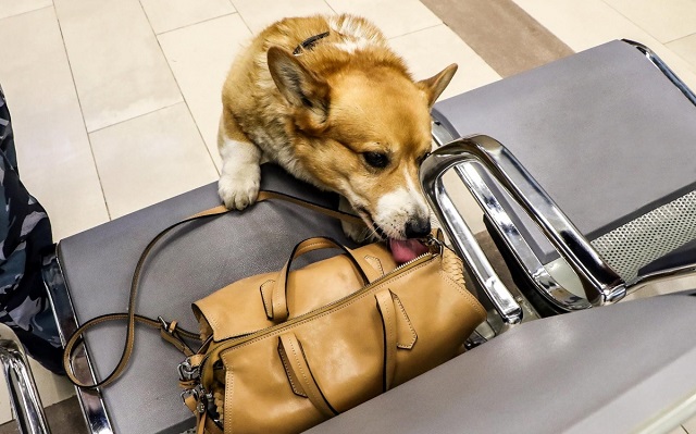 Рыжий - самый милый полицейский в России