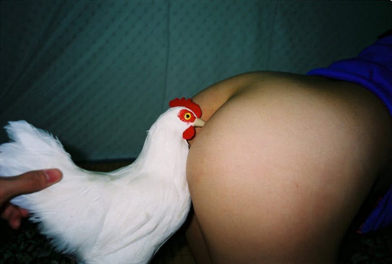 Чудики из социальных сетей