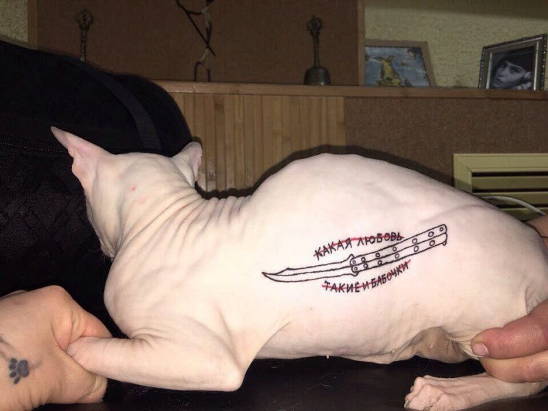 Чудики из социальных сетей