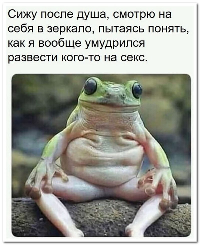 Забавные комментарии из социальных сетей