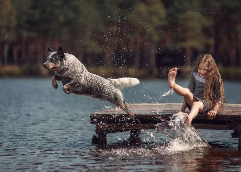 Прикольные картинки