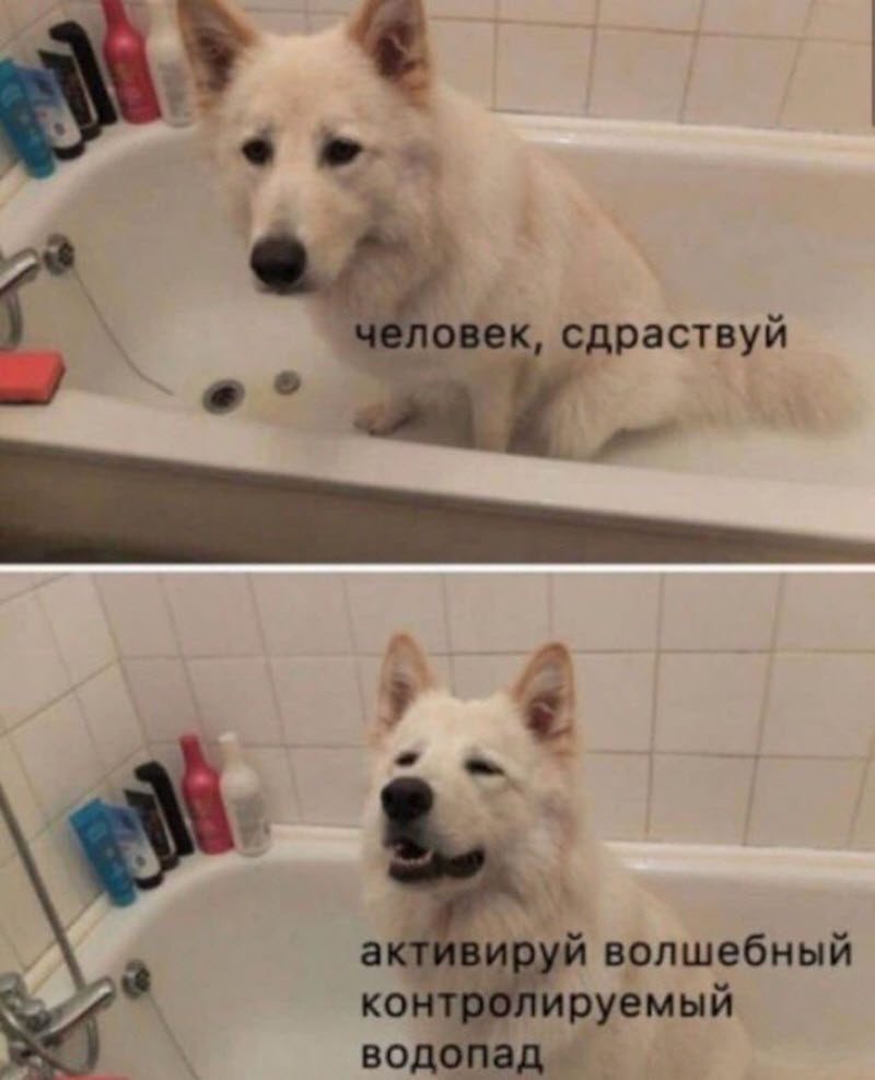 Прикольные картинки