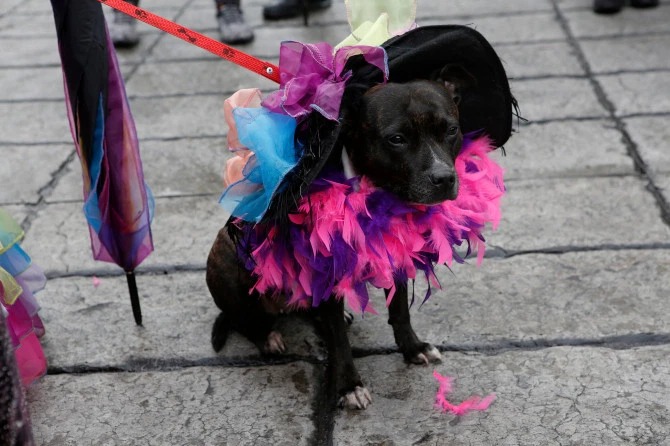 В Мексике провели праздничный парад ко Дню мертвых В Мексике провели праздничный парад ко Дню мертвых