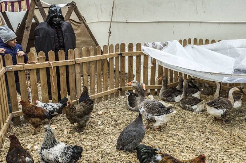 Прикольные картинки