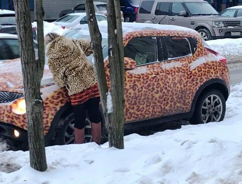 Прикольные картинки