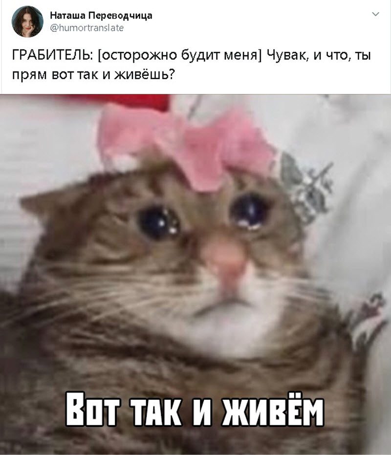 Прикольные картинки