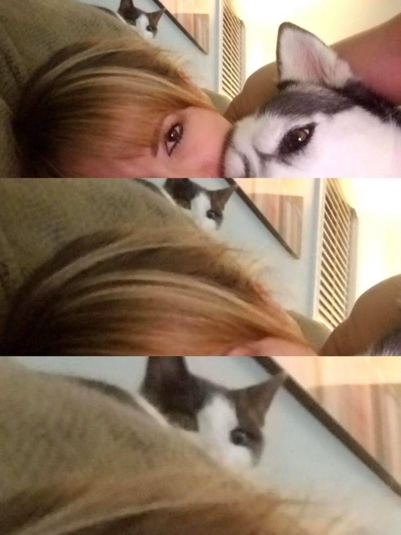 Прикольные картинки