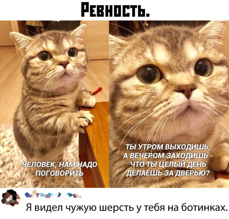 Прикольные картинки