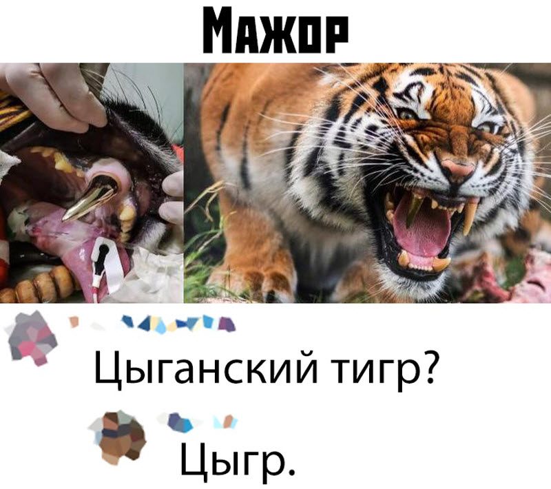 Прикольные картинки