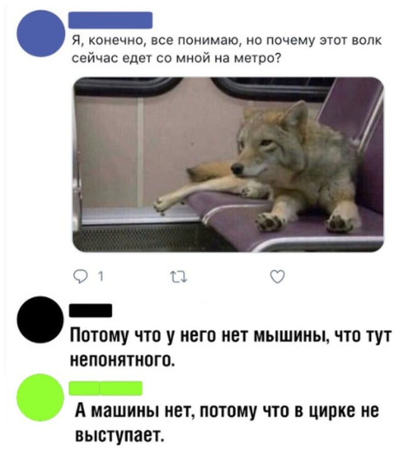 Прикольные картинки
