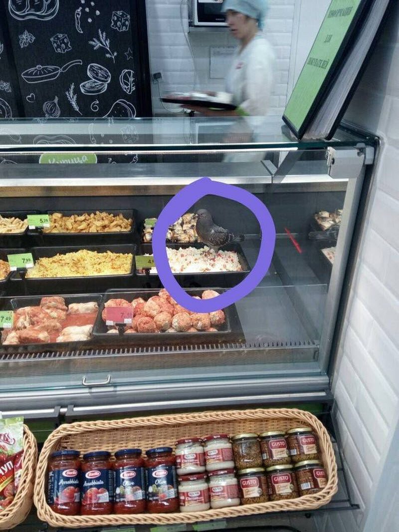 Прикольные картинки